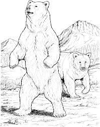 199x253 Standing Bear Illustration - Standing Bear Drawing