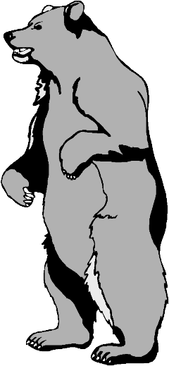 240x519 Black Bear Standing Clipart - Standing Bear Drawing