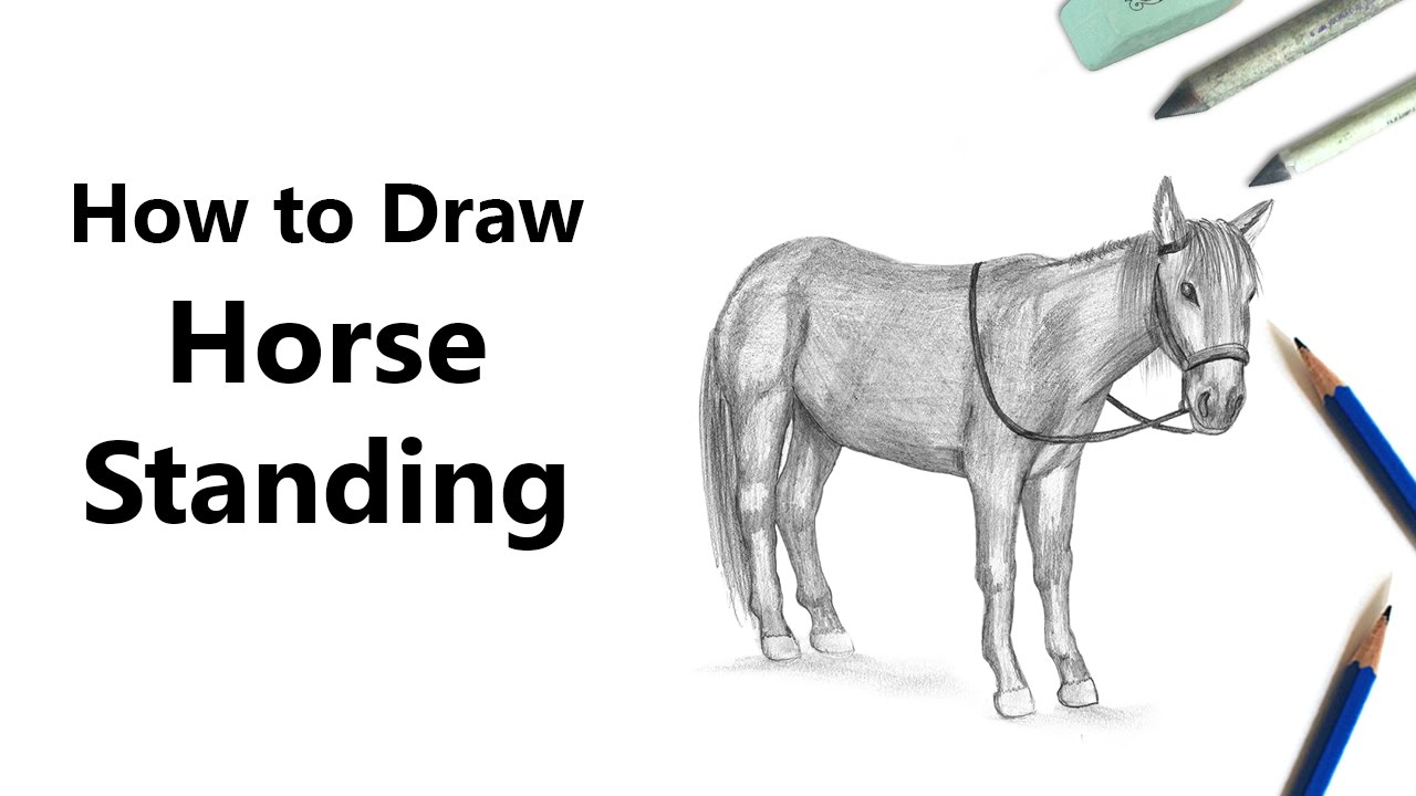 1280x720 How To Draw Standing Horse With Pencils - Standing Horse Drawing
