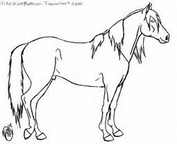 255x207 Image Result For Standing Horse Body Drawing Cowtown Horse - Standing Horse Drawing