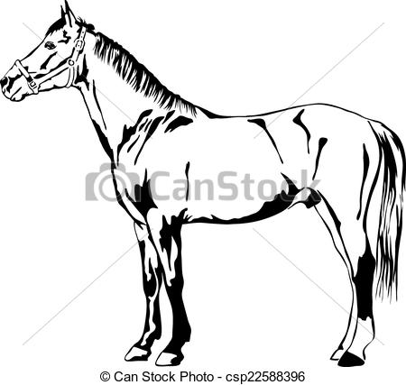 450x427 Outline Of A Standing Horse Black And White Vector Outline - Standing Horse Drawing