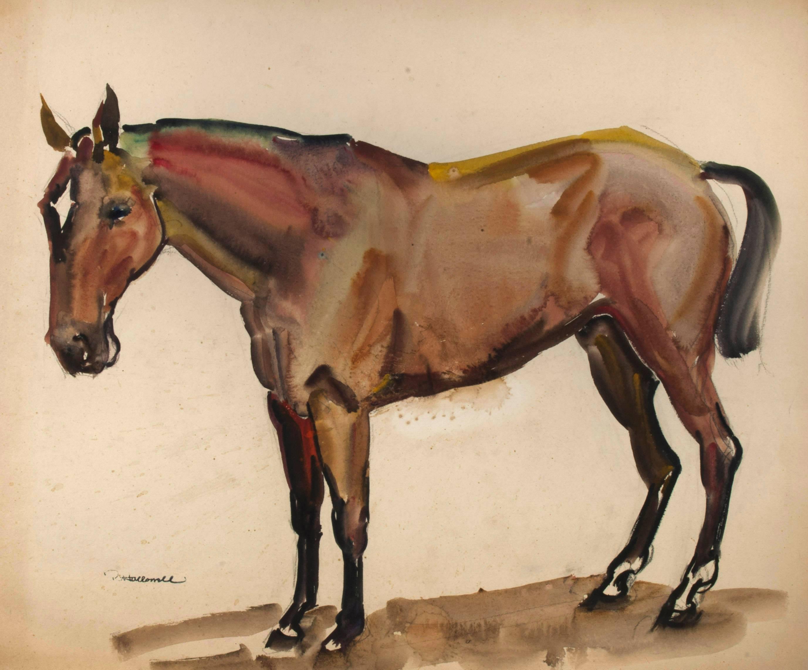 2754x2286 Robert Hallowell - Standing Horse Drawing