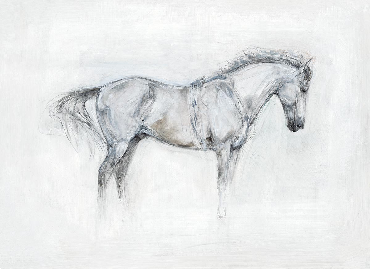 1200x875 Standing Horse - Standing Horse Drawing