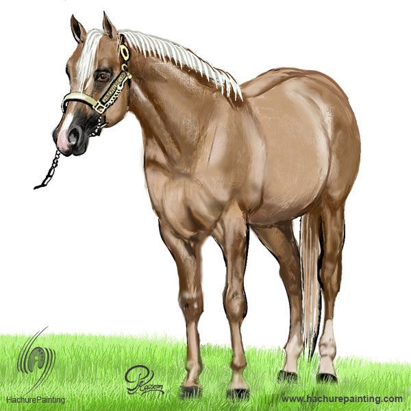 600x600 Standing Horse, Drawing From View - Standing Horse Drawing