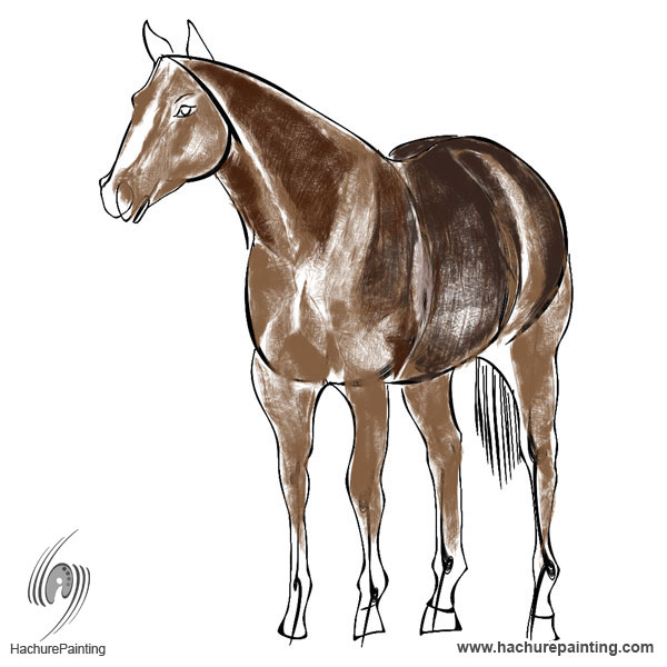 600x600 standing horse in the meadow, drawing from view - Standing Horse Drawing