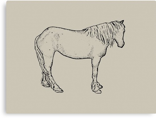 550x416 horse drawing standing horse, outline art equine art canvas - Standing Horse Drawing