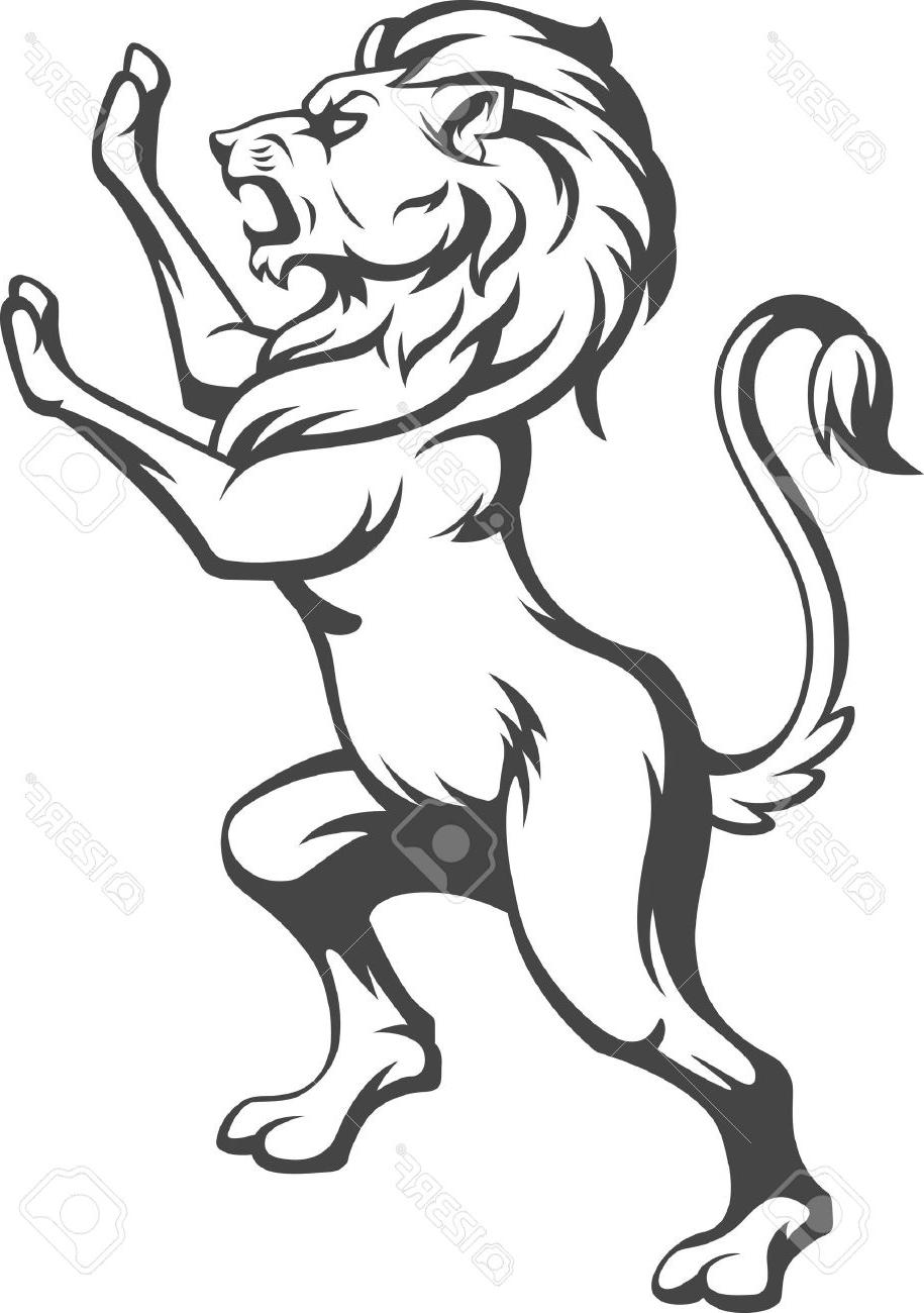 lion drawing body