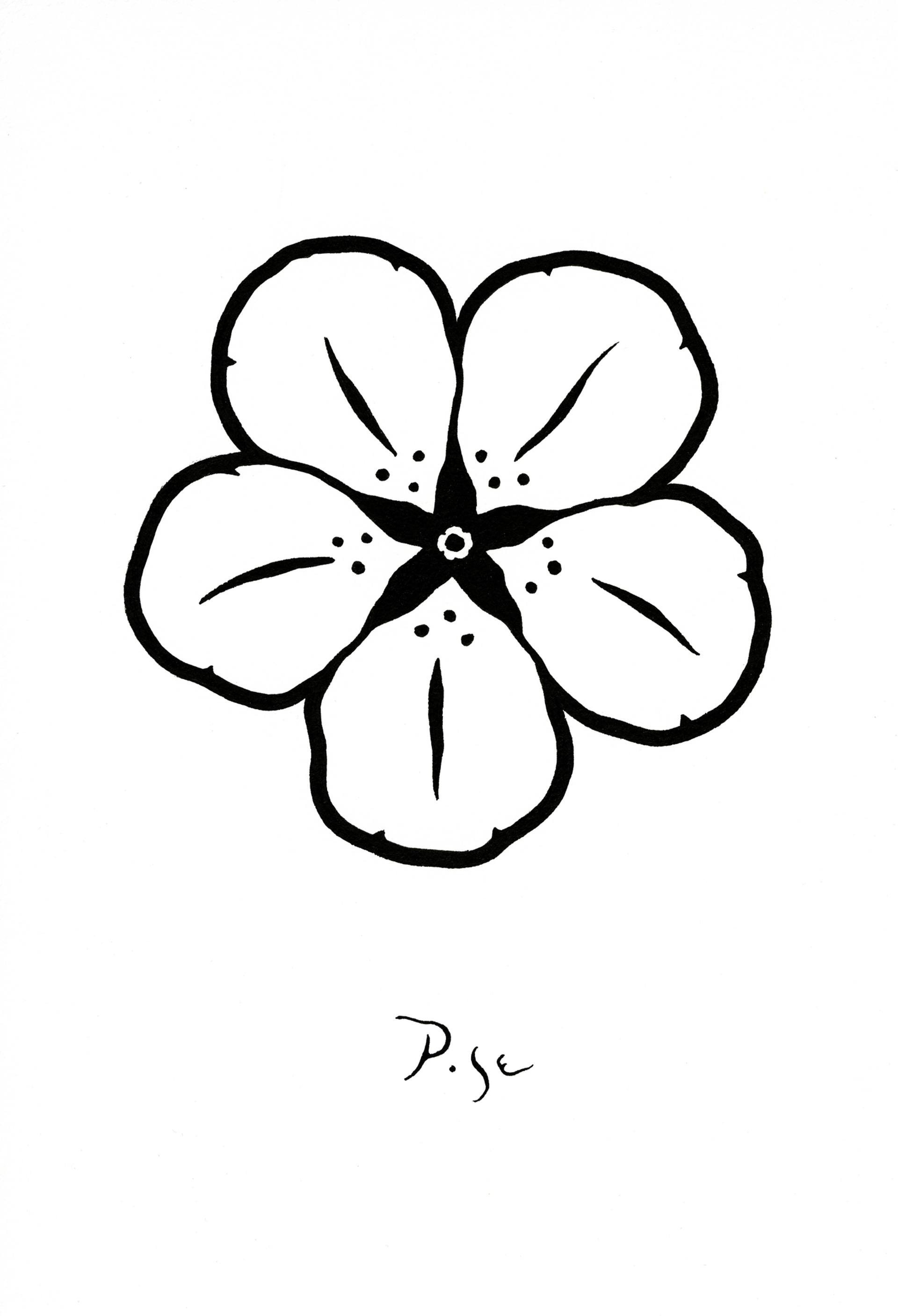 1920x2815 White Flower's Black Star Drawing - Star Drawing Black And White
