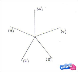 331x304 How To Draw Sea Star - Star Drawing Pictures