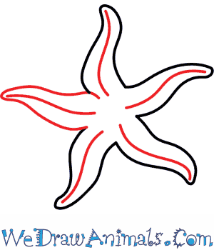 300x350 How To Draw A Starfish - Star Fish Drawing