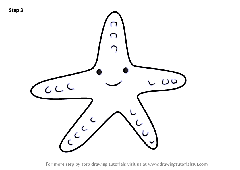 844x598 Learn How To Draw A Starfish For Kids - Star Fish Drawing