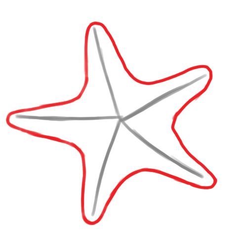 500x500 draw a starfish hey, i tried this! drawings, starfish drawing - Star Fish Drawing