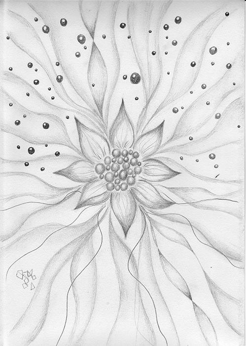 499x700 Star Flower Pencil Sketch On Behance - Star Flower Drawing