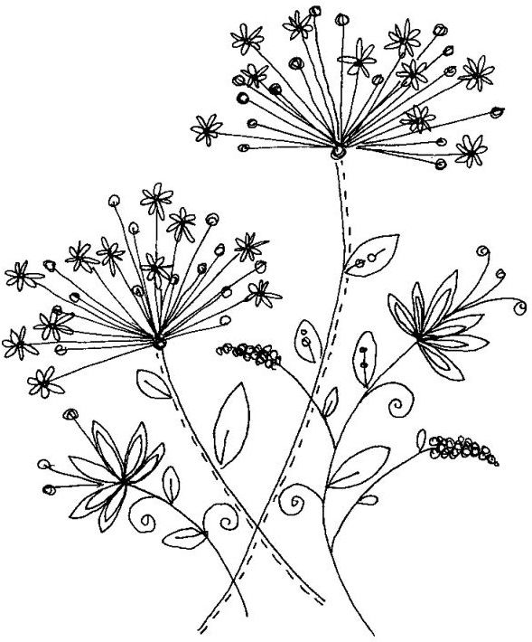 589x710 Star Flowers - Star Flower Drawing
