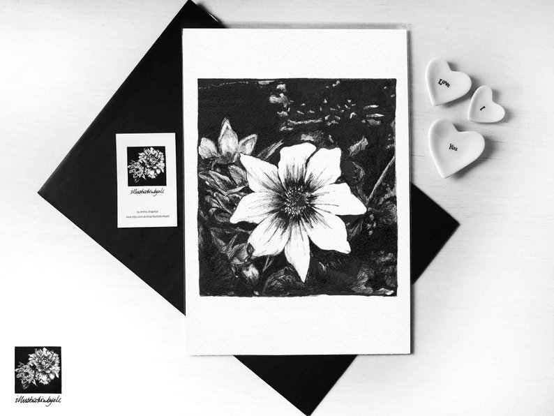794x596 Star Flower Black And White Illustrated Print Botanical Etsy - Star Flower Drawing