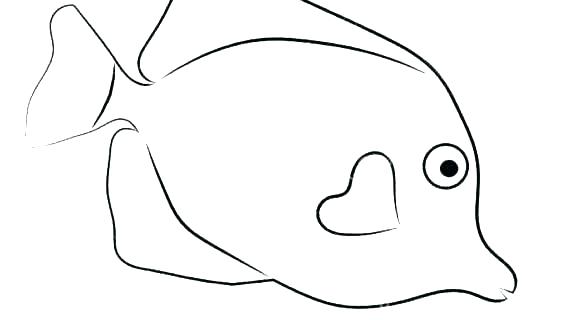 570x320 fish outline stock vector star images - Star Outline Drawing