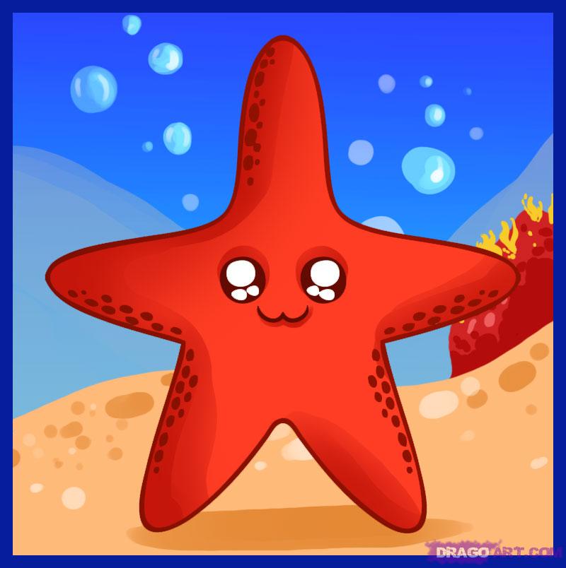 800x804 how to draw a starfish, step - Starfish Cartoon Drawing
