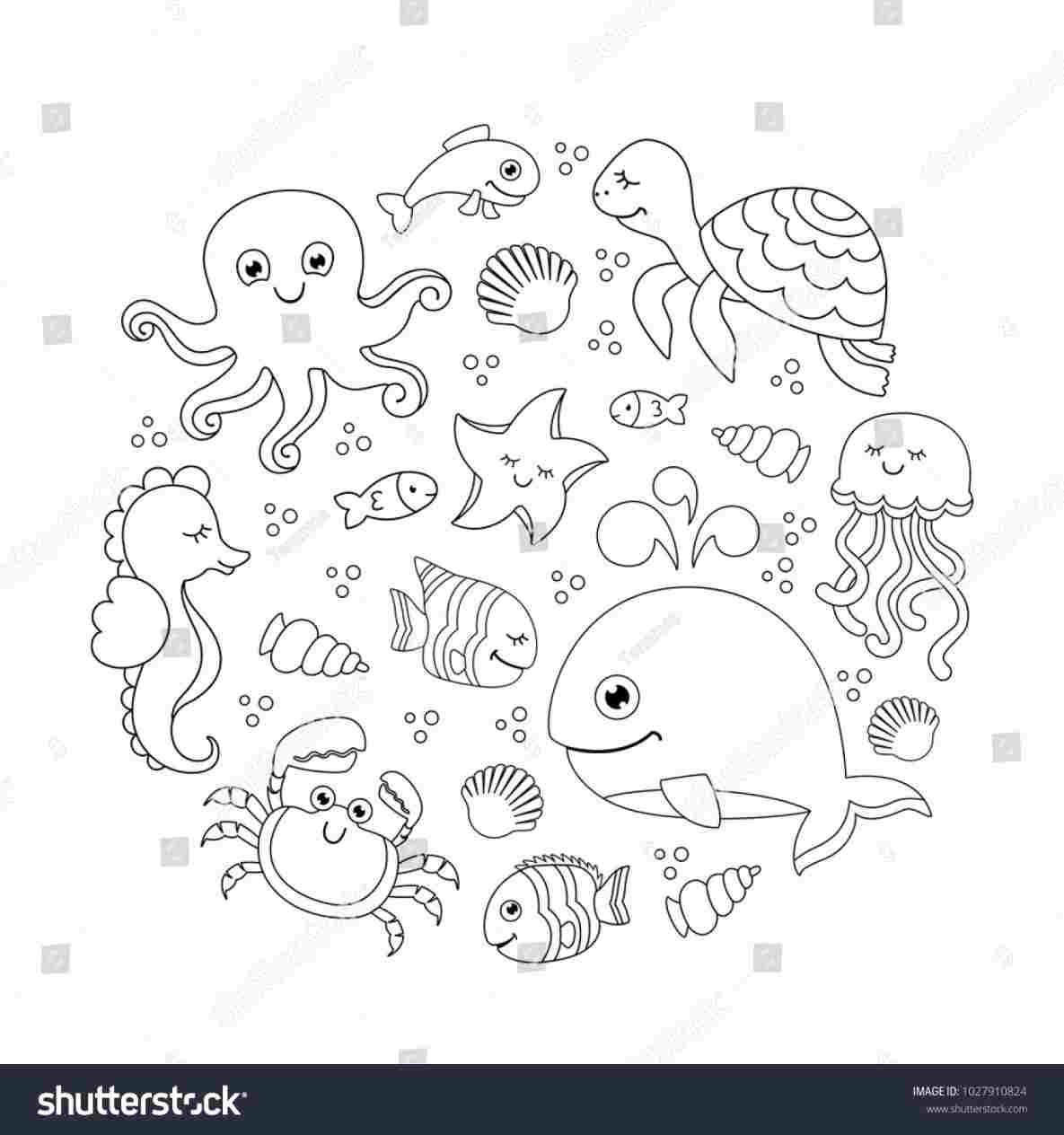 1185x1264 tutorials how to draw a cute starfish cartoon art rhyoutubecom - Starfish Cartoon Drawing