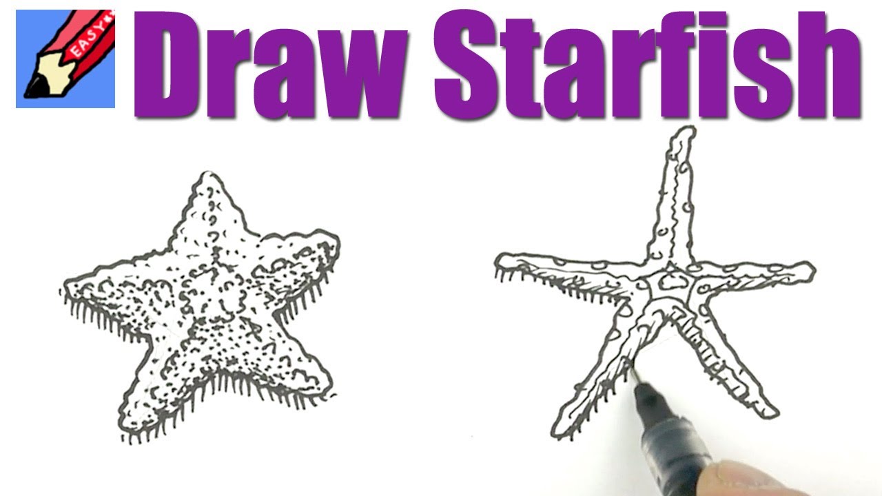1280x720 How To Draw Starfish Real Easy - Starfish Drawing