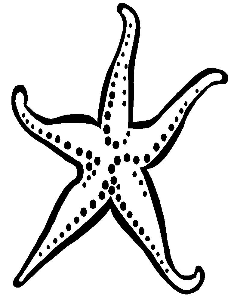 768x1024 best starfish drawing template cdr - Starfish Drawing