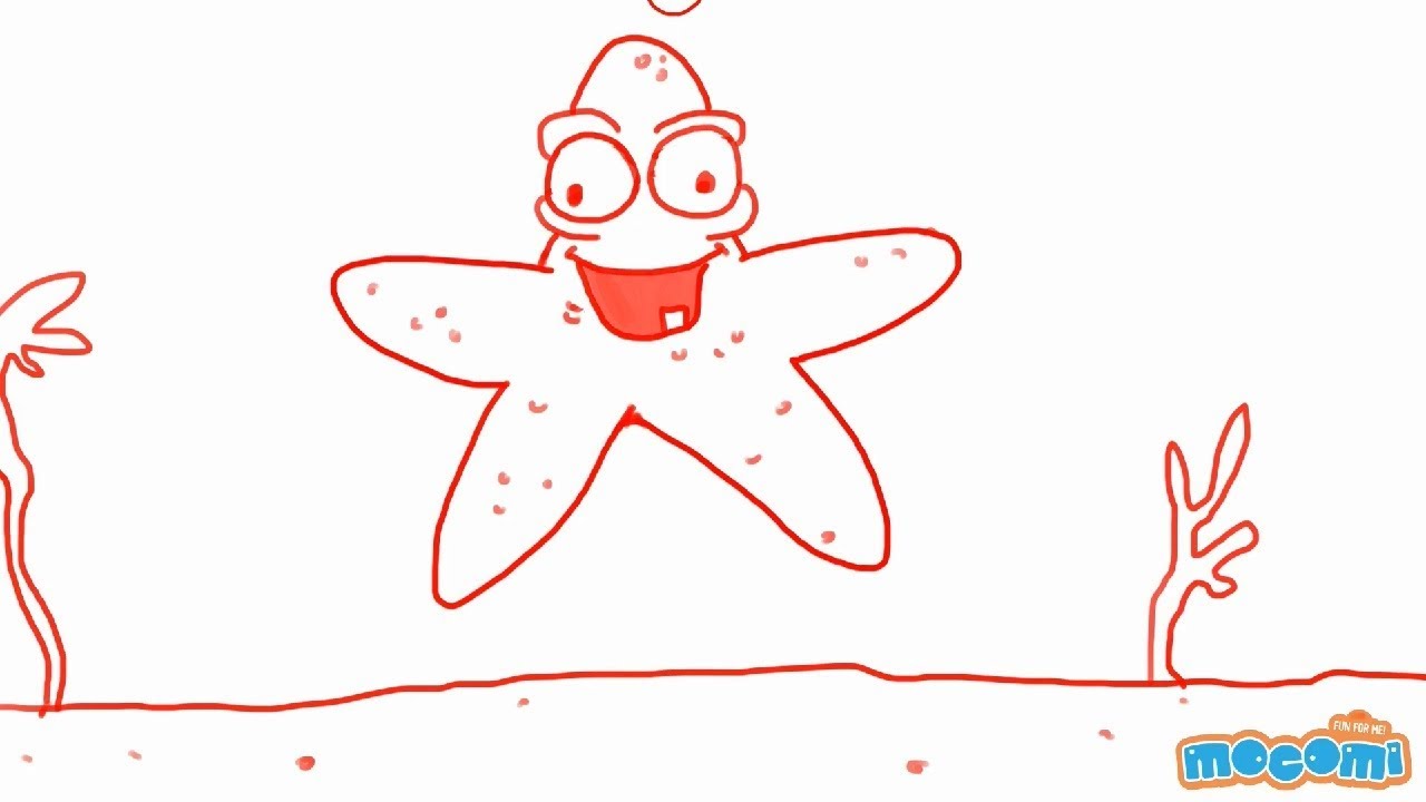1280x720 How To Draw A Starfish - Starfish Drawing For Kids