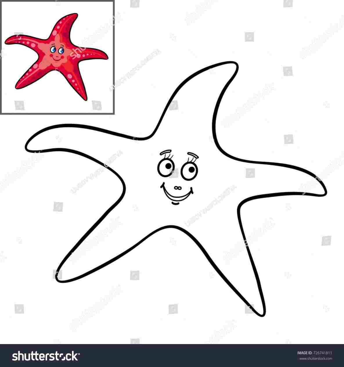 1185x1264 Starfish Drawing For Kids - Starfish Drawing For Kids