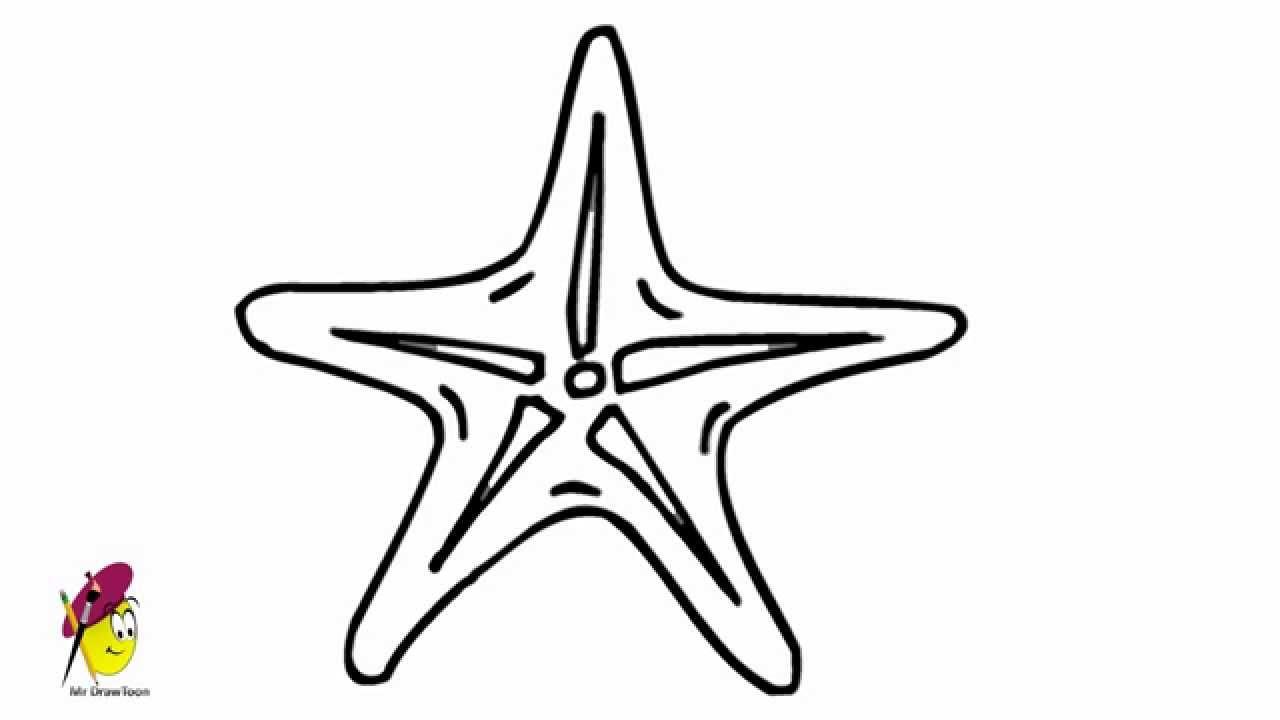 1280x720 Starfish Drawing For Kids And Star Fish - Starfish Drawing For Kids
