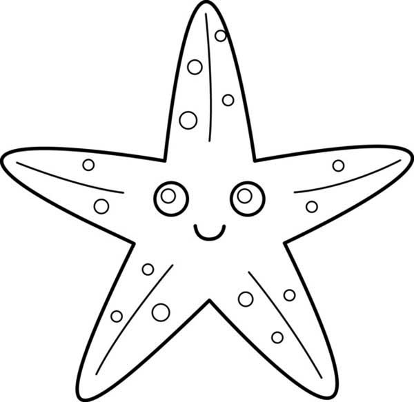 600x583 Starfish Drawing For Kids - Starfish Drawing For Kids