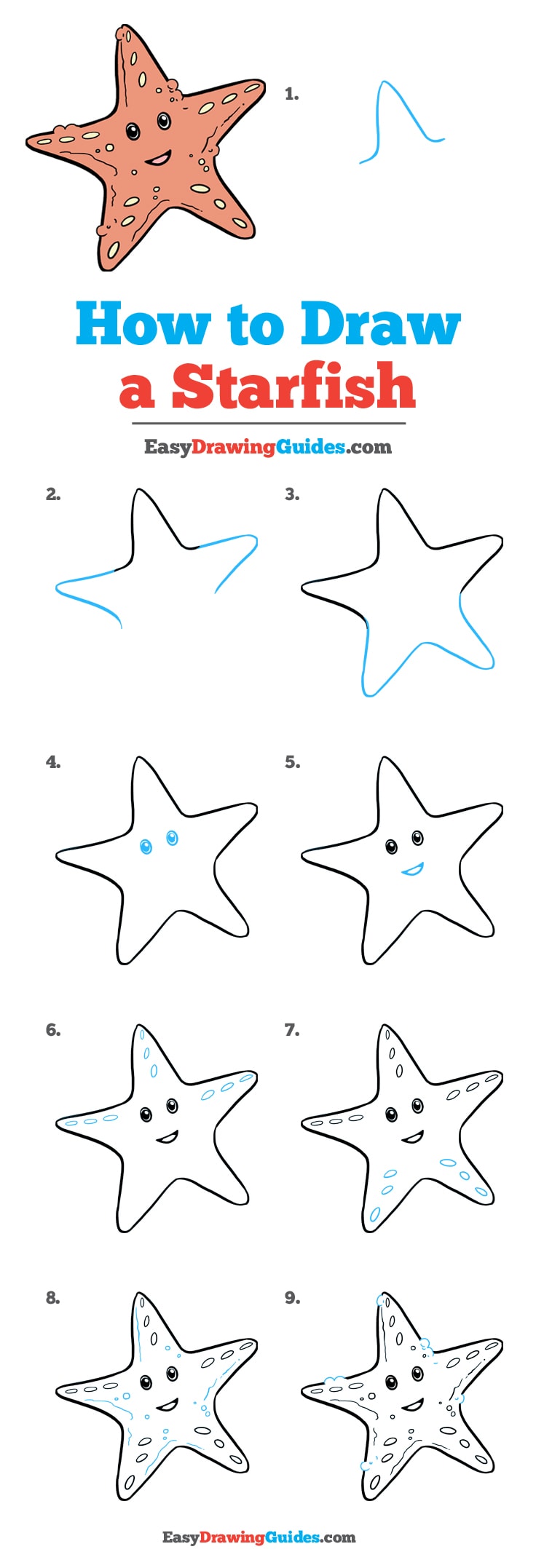 736x2154 Starfish Drawing Step - Starfish Drawing For Kids
