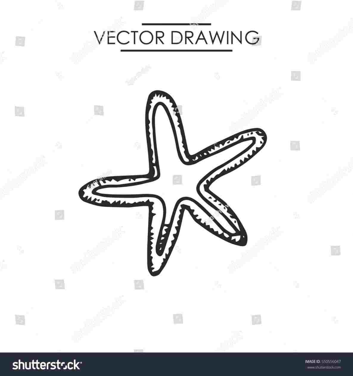 1185x1264 Starfish Drawing Pictures - Starfish Drawing For Kids