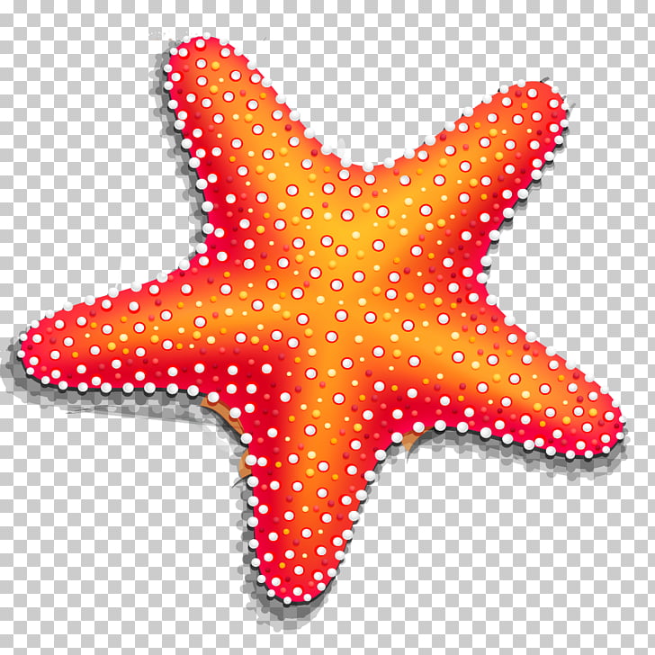 728x728 Starfish Drawing, Sabbia Png Clipart Free Cliparts Uihere - Starfish Drawing Images