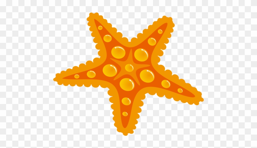 840x484 Starfish Drawing Seashell - Starfish Drawing Images