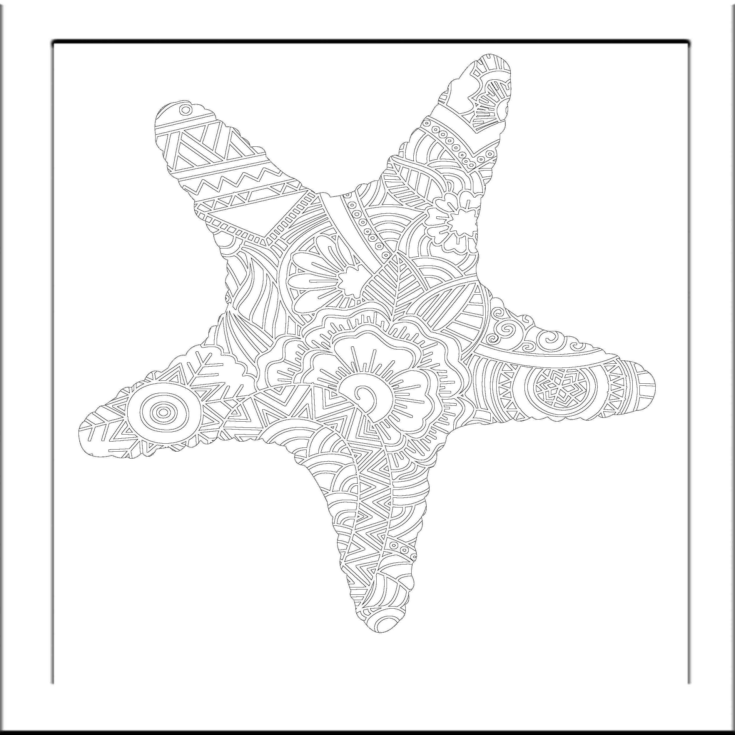 2500x2500 Hd Starfish Drawing Template Library - Starfish Drawing Images