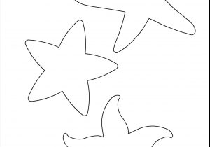 300x210 Starfish Drawing Step - Starfish Drawing Template