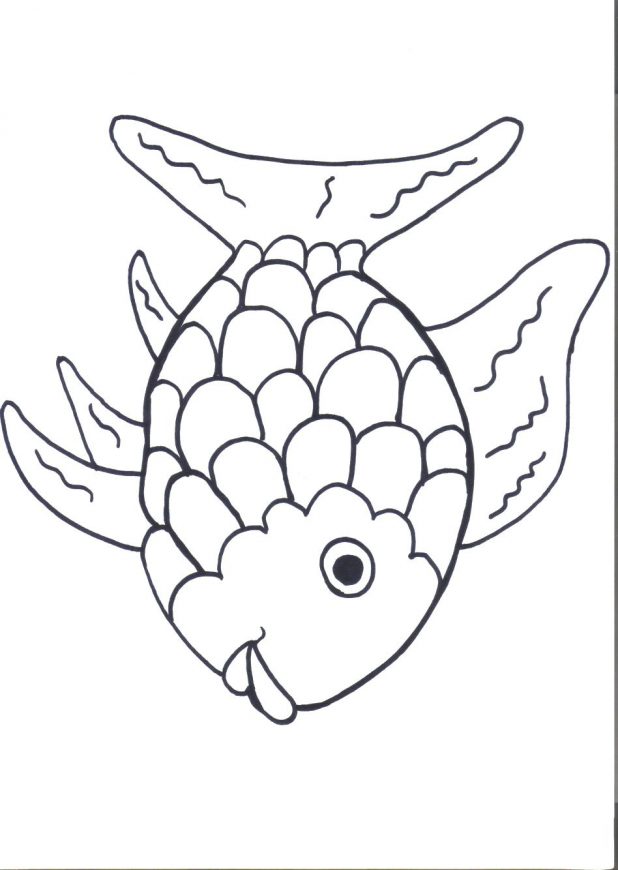 618x870 Starfish Drawing Template - Starfish Drawing Template
