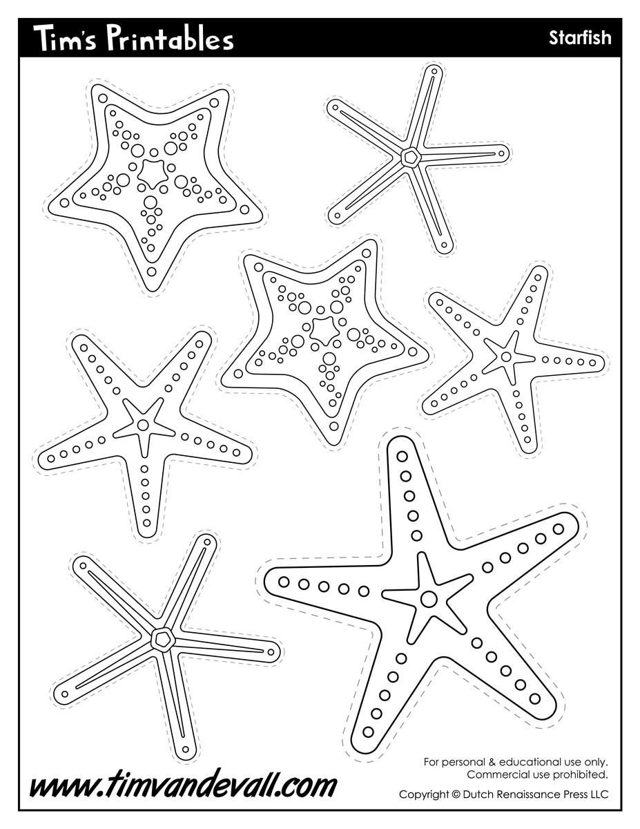 Starfish Drawing Template at Explore collection of