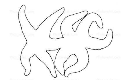418x279 starfish, lovers, love, outline, line drawing, shape images - Starfish Line Drawing