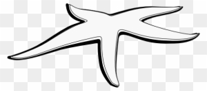 300x133 Drawing Clipart Black And White, Transparent Png Clipart Images - Starfish Line Drawing