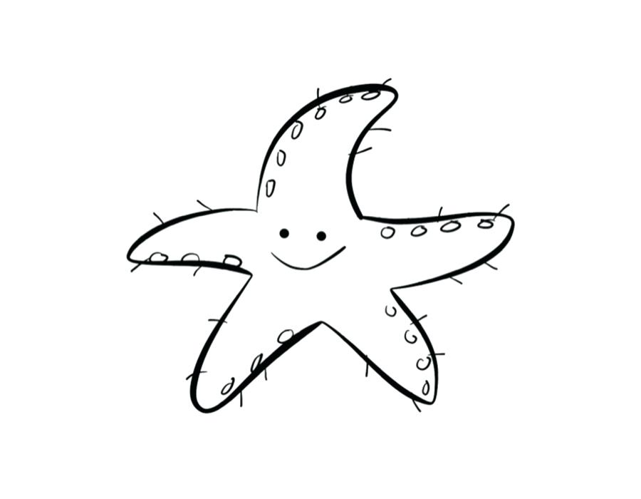 Starfish Outline Drawing