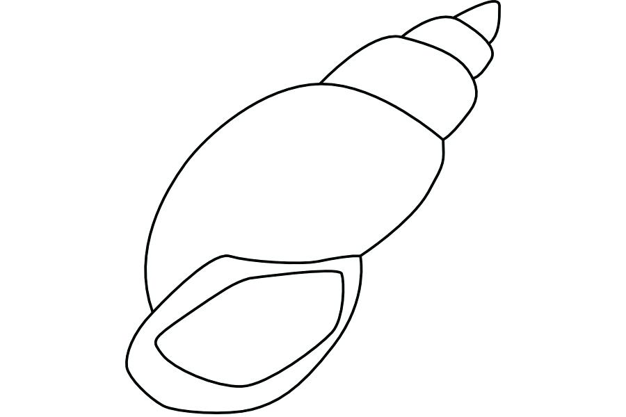 900x600 Printable Starfish Template Echos Free Under The Sea Outline - Starfish Outline Drawing