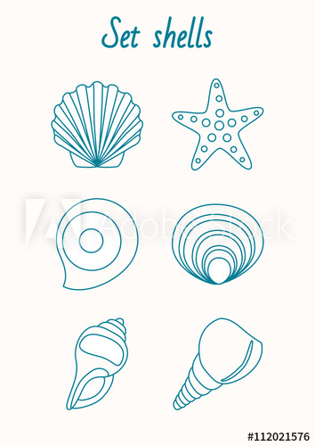 354x500 Set Of Hells And Starfish Outline Drawing - Starfish Outline Drawing
