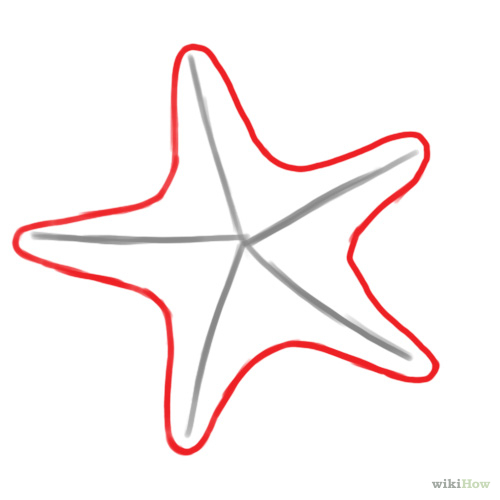 500x500 Starfish Drawing - Starfish Outline Drawing