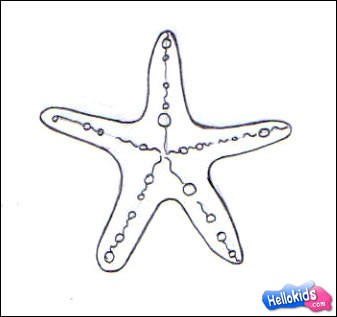 337x317 How To Draw Sea Star - Starfish Pencil Drawing