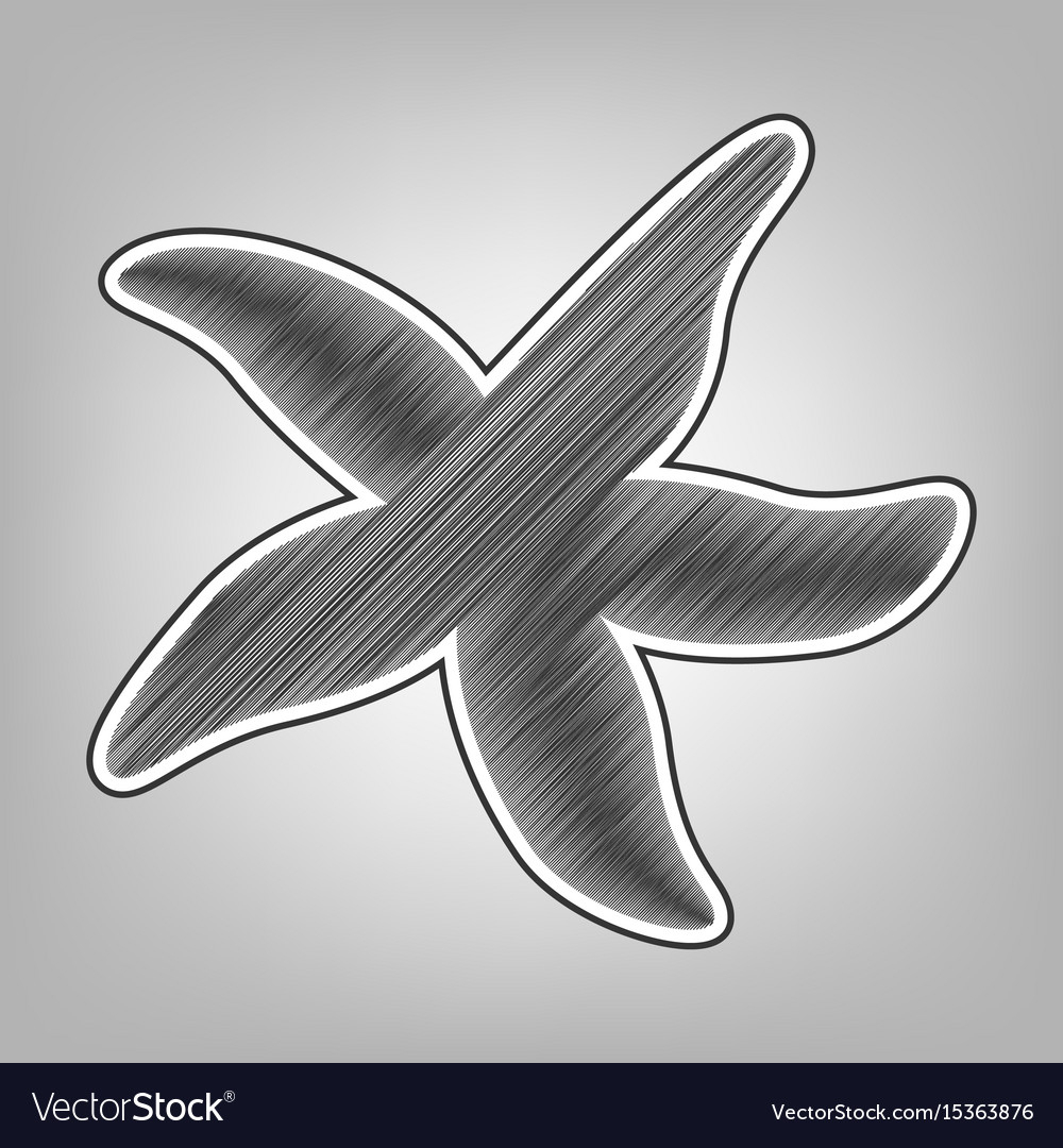 1000x1080 Pencil Sketch Of Starfish And Sea Star Sign Pencil Sketch - Starfish Pencil Drawing