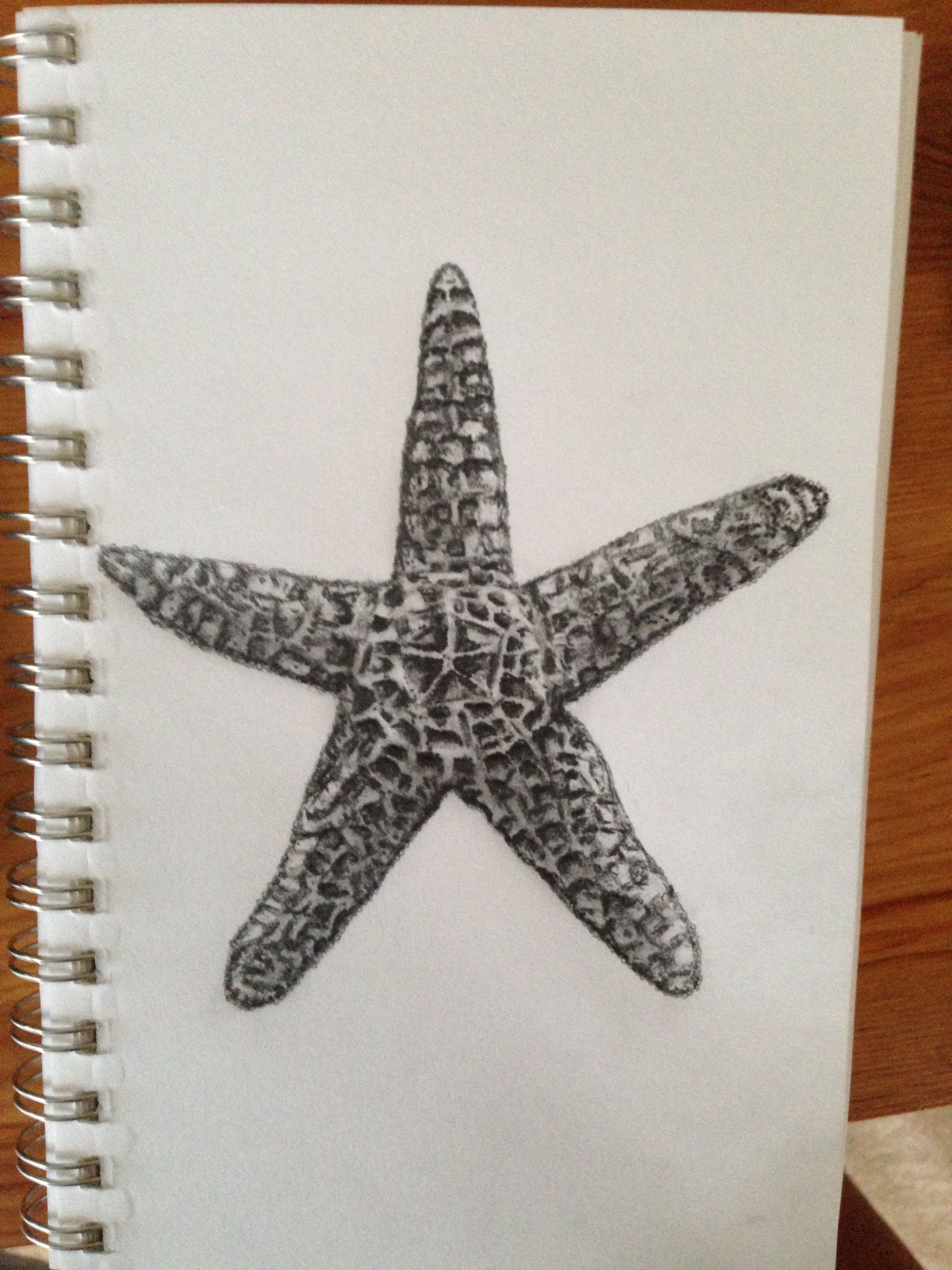 2448x3264 Starfish Pencil Drawing Artwork Ocean Art, Sea Life Art, Art - Starfish Pencil Drawing