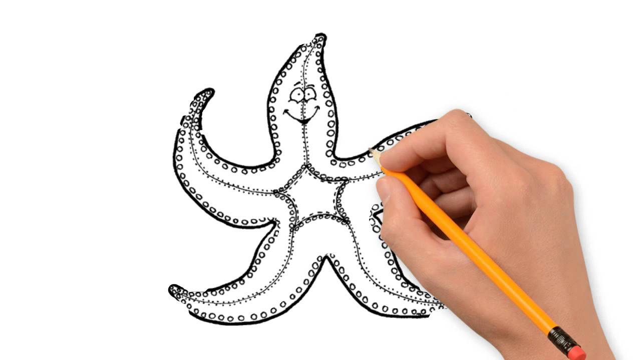 1280x720 Starfish Animals Pencil To Draw Step - Starfish Pencil Drawing
