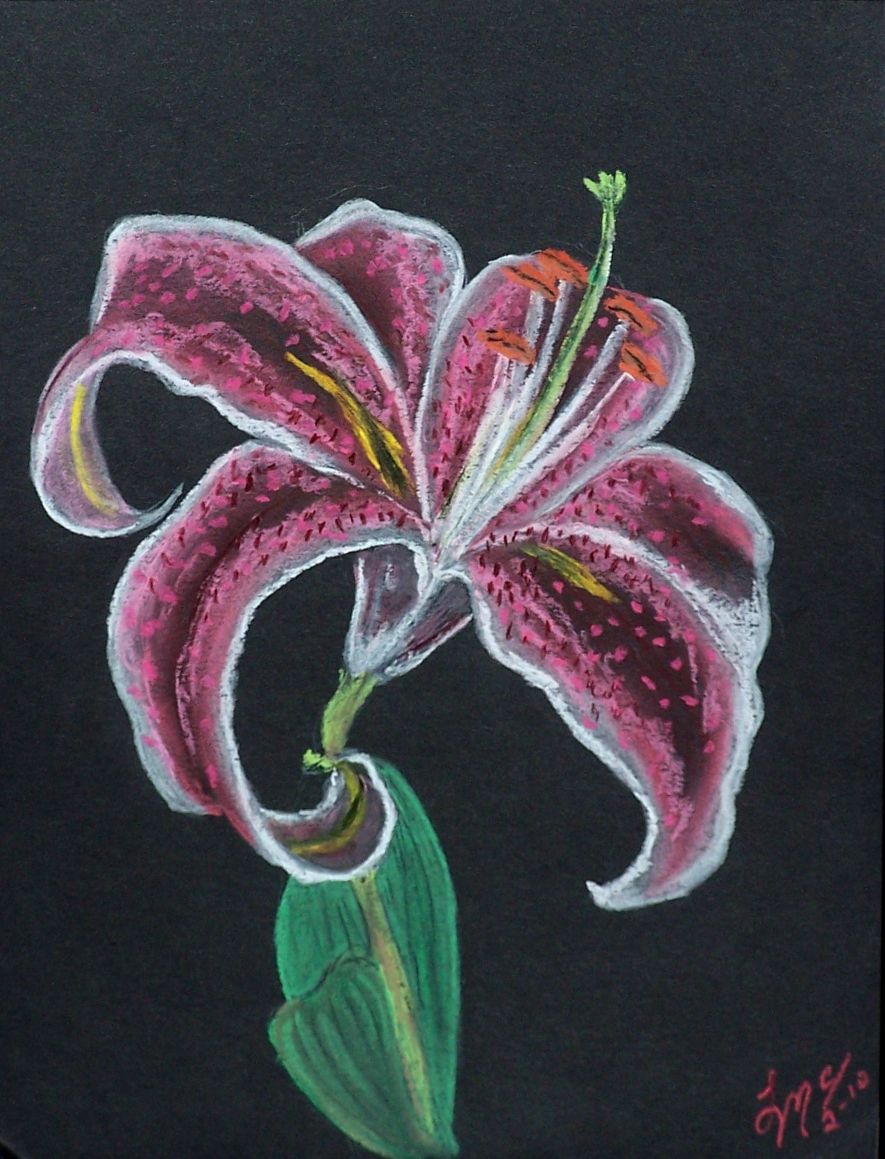1275x1669 stargazer lily foundmyself - Stargazer Lily Drawing