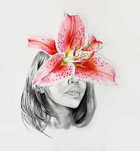 279x300 stargazer lily drawings fine art america - Stargazer Lily Drawing