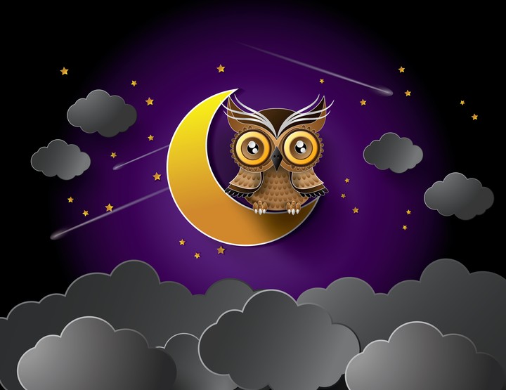720x555 Night Stars Moon Clouds Owl Drawing Wallpaper - Stars And Moon Drawing