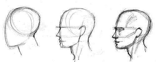 500x199 How To Start Drawing A Face Kennadoesart - Start Drawing